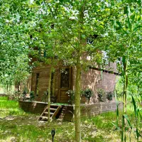 خریدی-عاقلانه-برای-آینده-ای-روشن