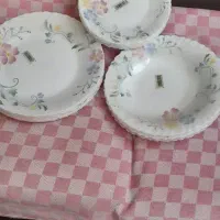 آرکوپال امارات