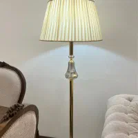 آپاژور ایستاده
