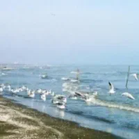 گردشگری ارزان ارزان گیلان گردی