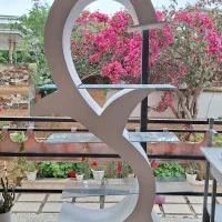 دکور و بار