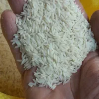 برنج هاشمی