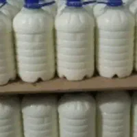 دوغ میش اصل