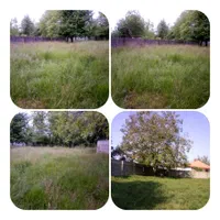 زمین ۹۷۳ متری چالکسر تمام مسکونی