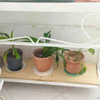 آکواریوم یک متری با پایه
