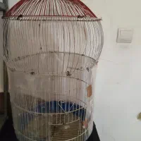 قفس پرنده