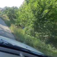 فروش باغ حدود ۳۵۰۰ متر