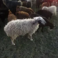 ۱۲۳