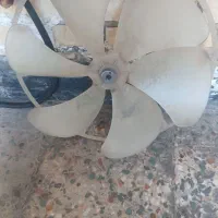 فن پرانه ای