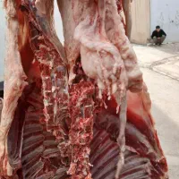 قصاب سیار