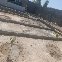باغ-نیمه-اماده