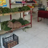 میز سبزی و میزه میوه