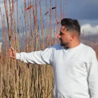 نهالستان گردو و نهال میوه های شناسنامه دار و پربار