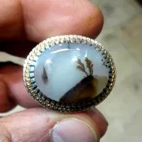 انگشتر فدیوم طلا شجر کلکسیونی