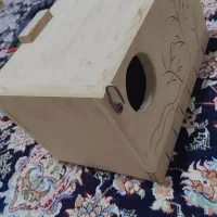 لونه عروس هلندی