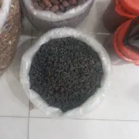 محصولات طارم سرا