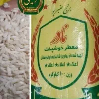 برنج عنبربو بزنج یک کشت امسال برنج خوزستان