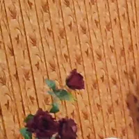 دوعدد پرده طرح پاییز 5000000