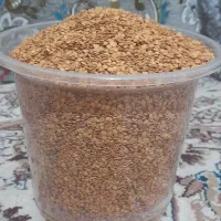 بذر بادمجان