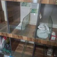 دکور خوراکی و اجیل با قیمت مناسب