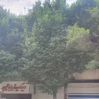 420-متر-بر12-شمالی-گذر-10-550-متر-بنا-میرعماد