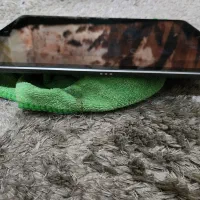 ایپد 256 ipad|تبلت|تهران, شهرک آزمایش|دیوار