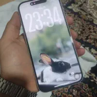 آیفون 16 نرمال