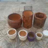 گلدان  گل کوچک و بزرگ  دوعدد بزگ نو نو