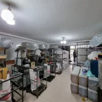 نیروی آقا