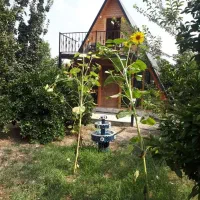 کلبه سوئیسی ترتمیز