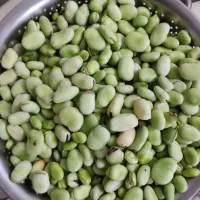 باقلی|خوردنی و آشامیدنی|قم, کلهری|دیوار