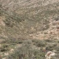 کمک جلو پراید سمت راننده