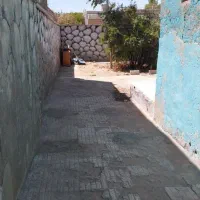 ویلایی-اجاره-ای-شوریده