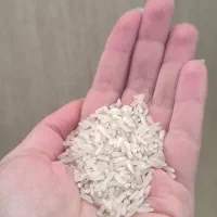 برنج سرلاشه تارُم ایرانی