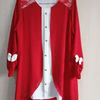 تعدادی لباس