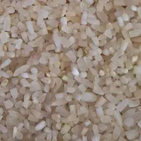 برنج کامفیروزی