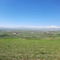 فروش زمین دیم با موقعیت عالی