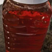 عسل طبیعی کنار