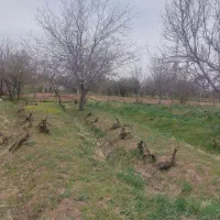 فروش-زمین-باغی-3000-متری