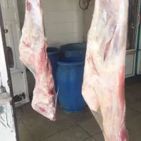 گوشت کهره و بره