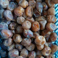 فروش فوری خرما ورطب وخارک برحی  تازه چین ودرجه یک