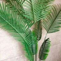 گل گلدان شامادورا ارتفاع دو متر