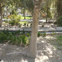 کارگر ساده آقا