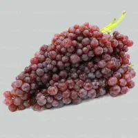 محصولات شهرتاکستان(کارگاه تولیدی طبیعی علی )