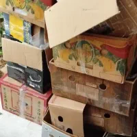 کارتن موز
