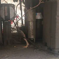 یخچال