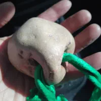 سنگ کلکسیونی وغیره