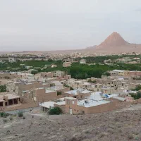 همخونه