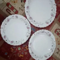 سرویس آرکوپال گل بنفش