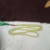 تسبیح شاه مقصود